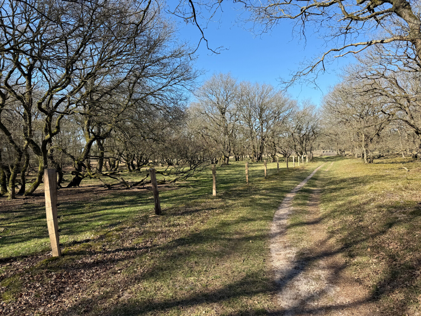 Zuidlaren - Gieten · Drenthepad etappe 11