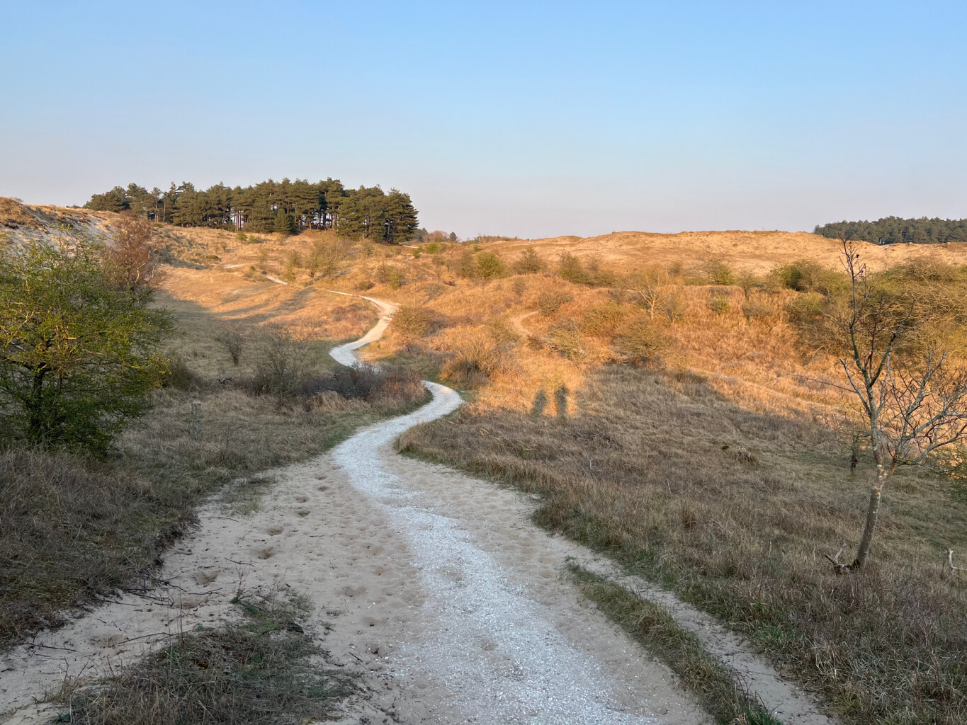 Nationaal Park Zuid-Kennemerland