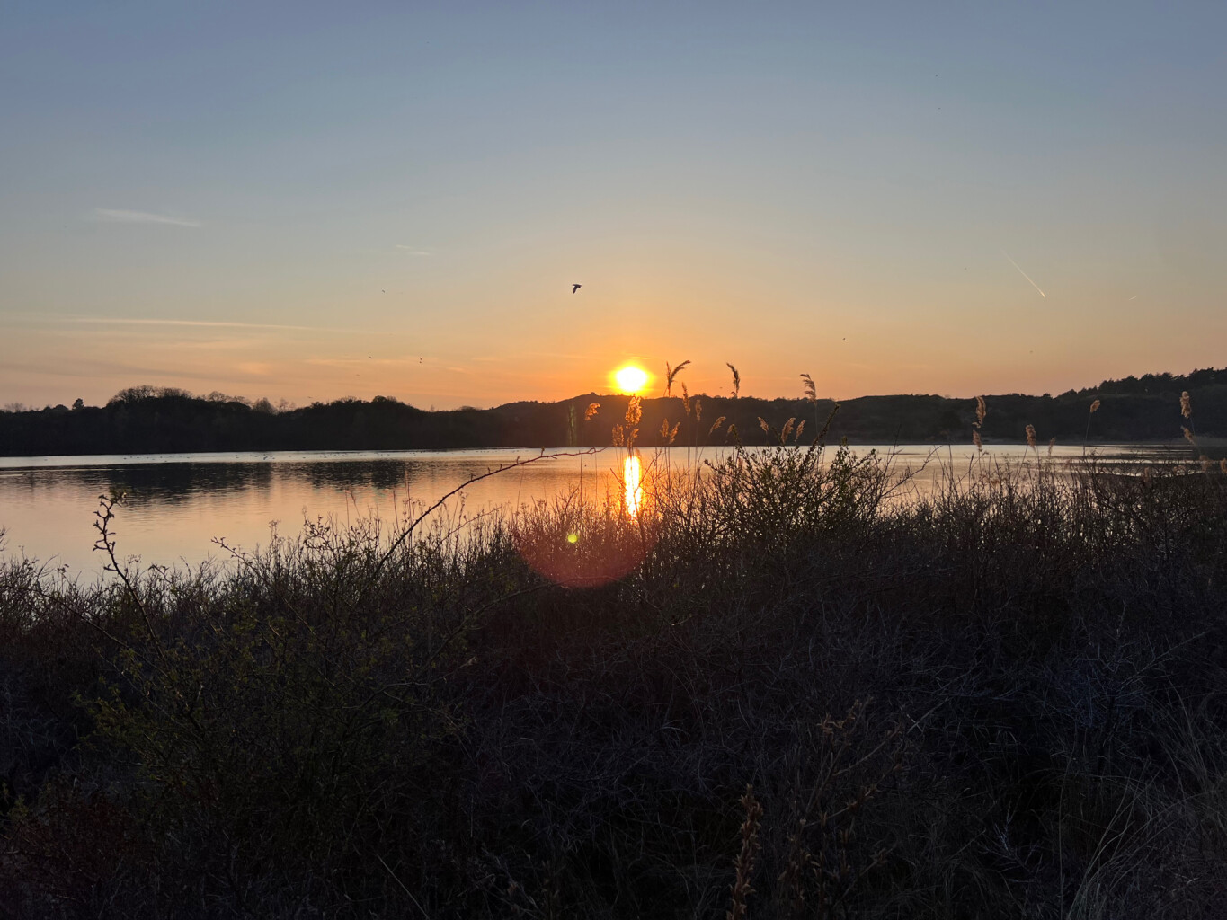 Nationaal Park Zuid-Kennemerland