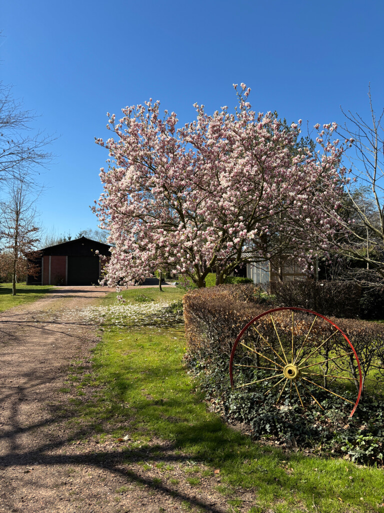 Glimmen - Zuidlaren · Drenthepad etappe 10