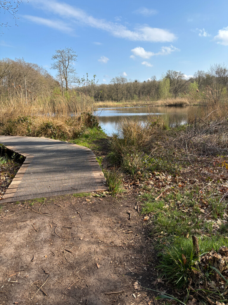 Roden - Peizermade · Drenthepad etappe 8