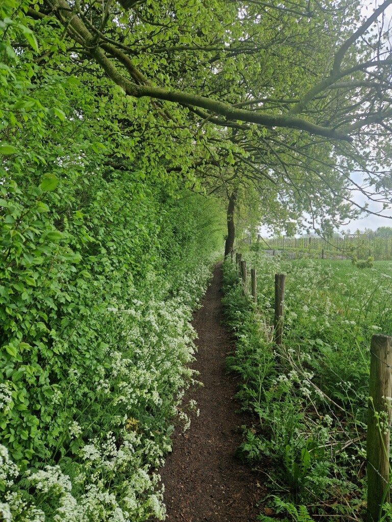 Cothen - Leersum · Utrechtpad etappe 3