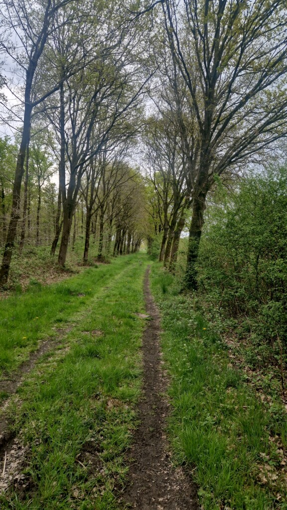 Cothen - Leersum · Utrechtpad etappe 3