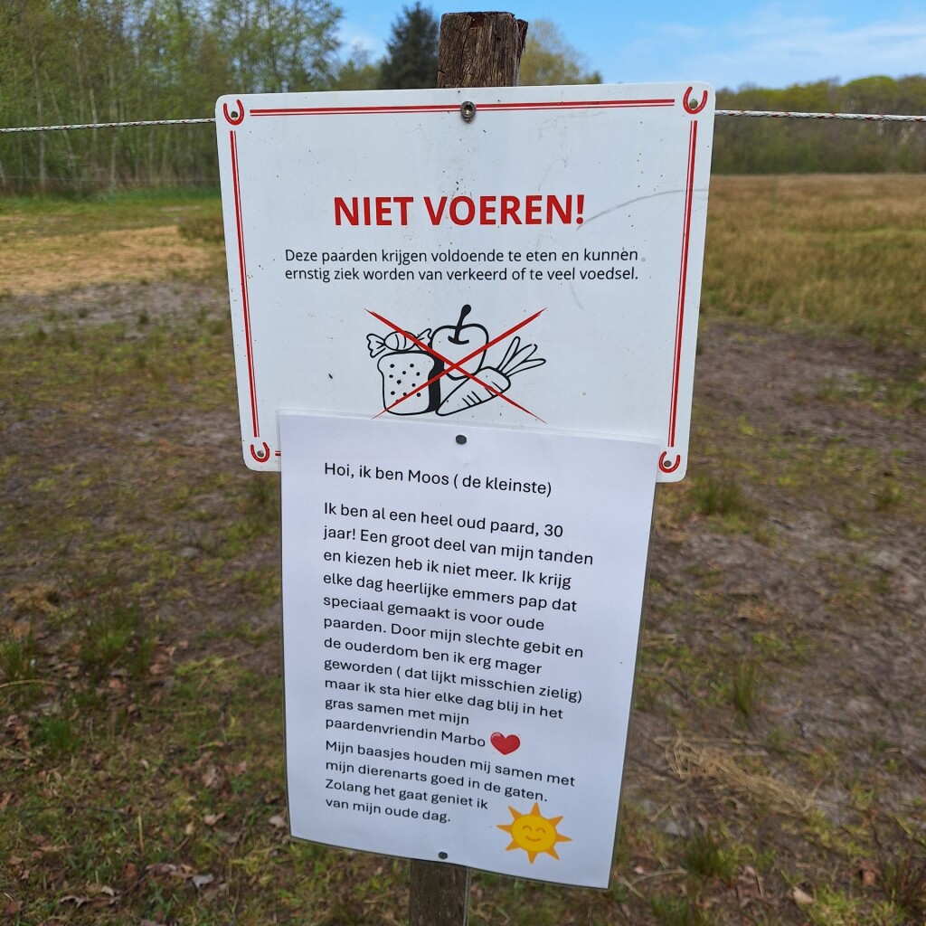 Wandelroute Sparrenlaan en Groene Pollen