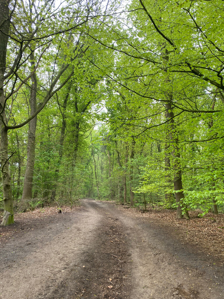 Rhenen - Wageningen · Pad van de Vrijheid etappe 13