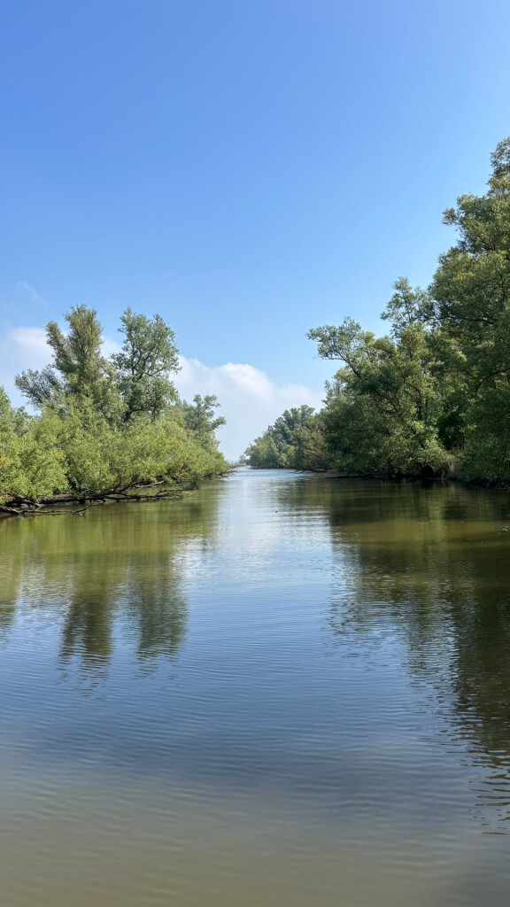 Rondwandeling (Oeverlanden - Hollands Diep) · Biesboschpad etappe 13