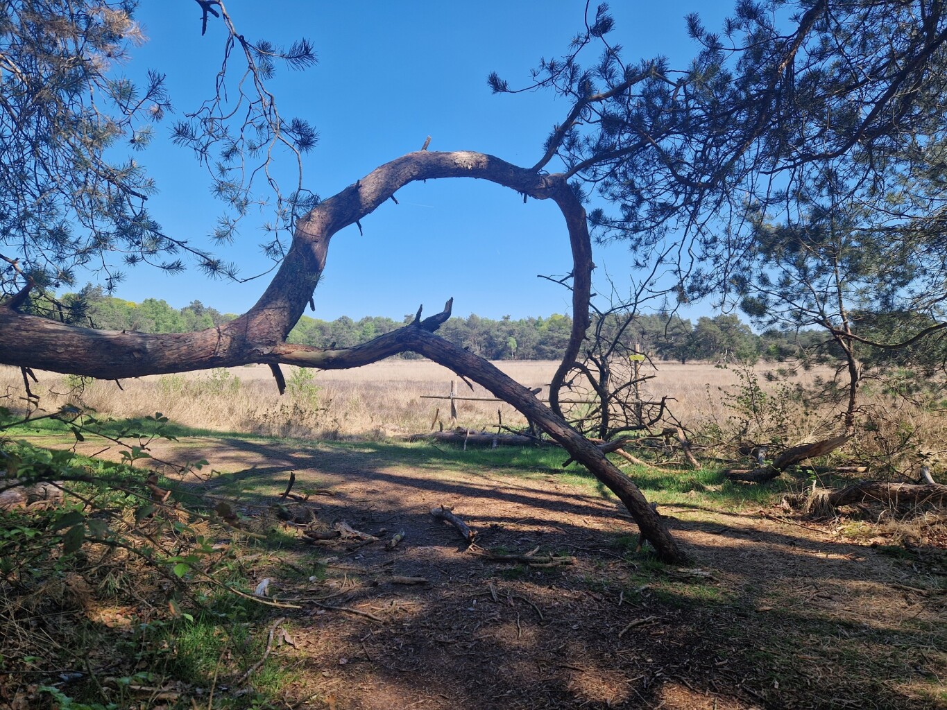 Leersum - Amerongen · Utrechtpad etappe 4