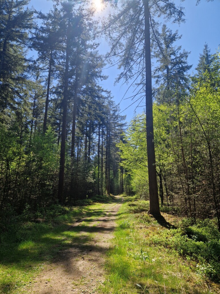 Leersum - Amerongen · Utrechtpad etappe 4