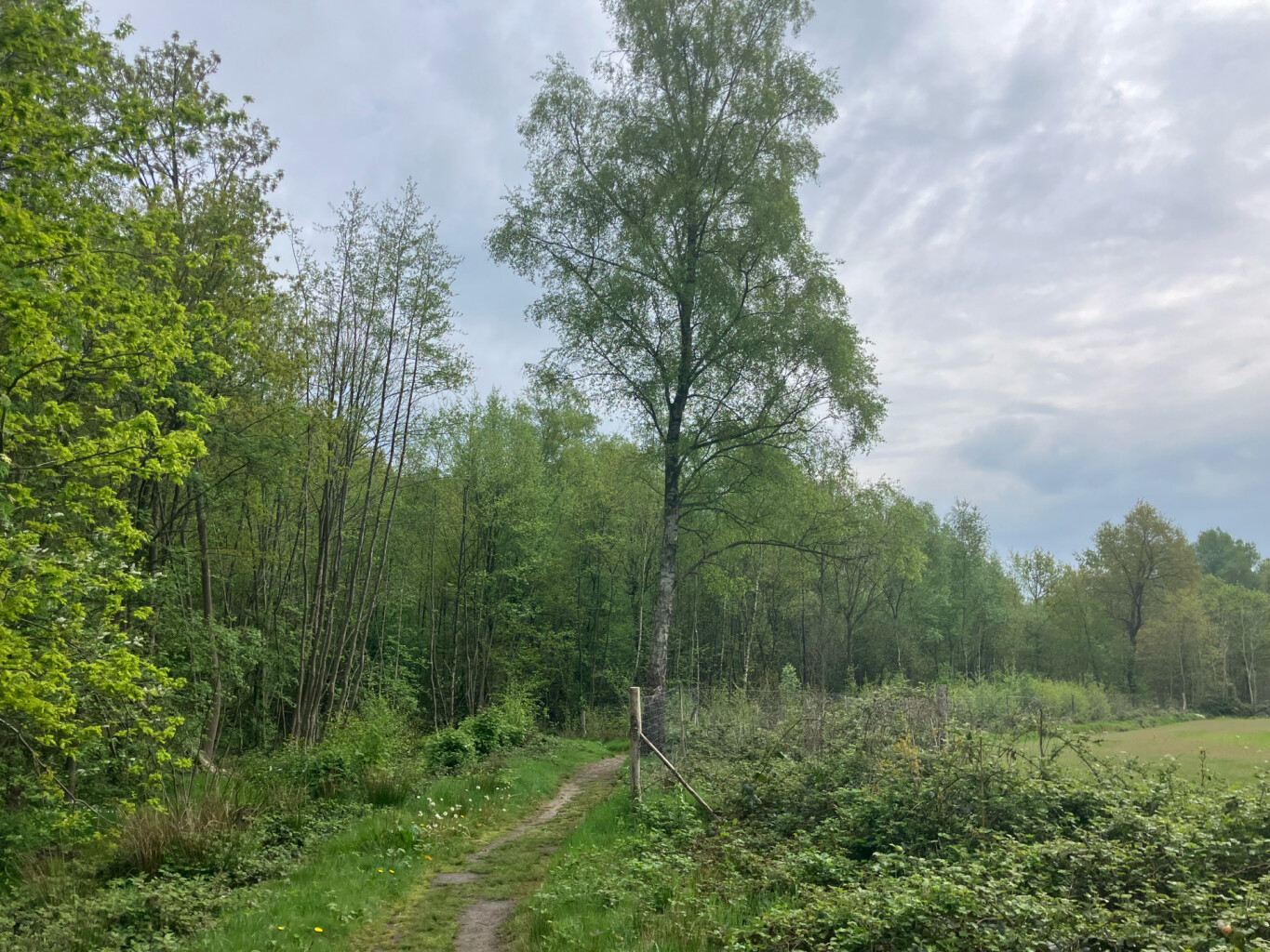 Station Nijkerk - Station Putten · Westerborkpad etappe 11