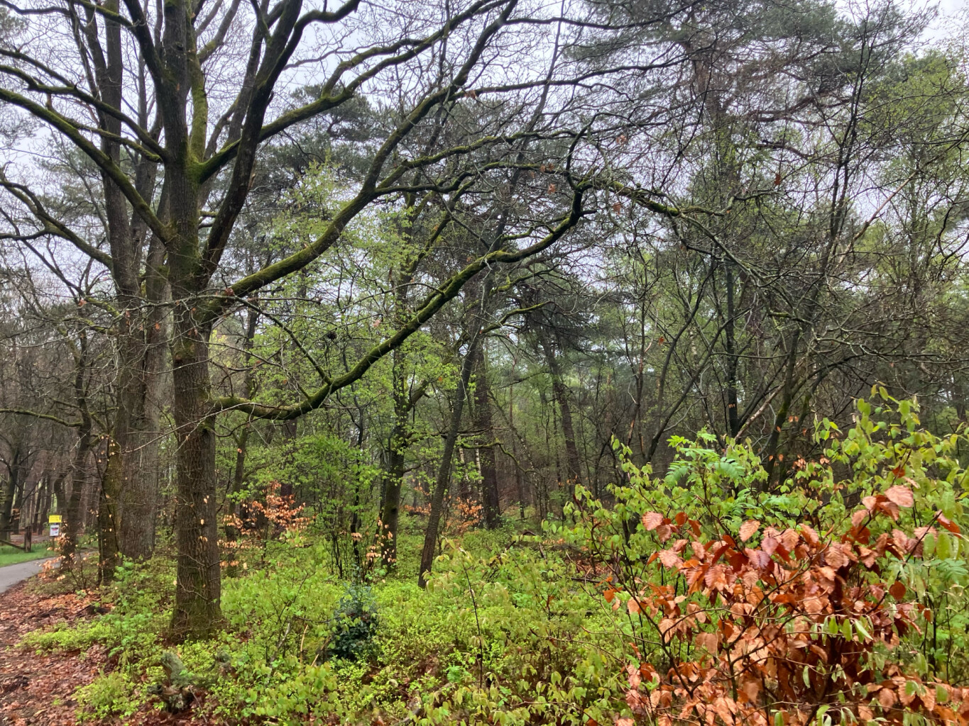Station Harderwijk - Station Nunspeet · Westerborkpad etappe 13