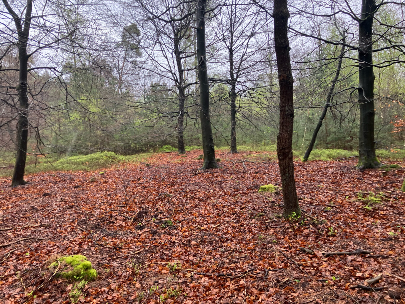 Station Harderwijk - Station Nunspeet · Westerborkpad etappe 13