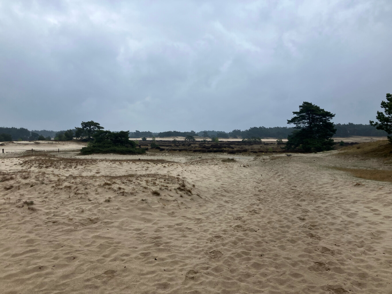 Station Harderwijk - Station Nunspeet · Westerborkpad etappe 13