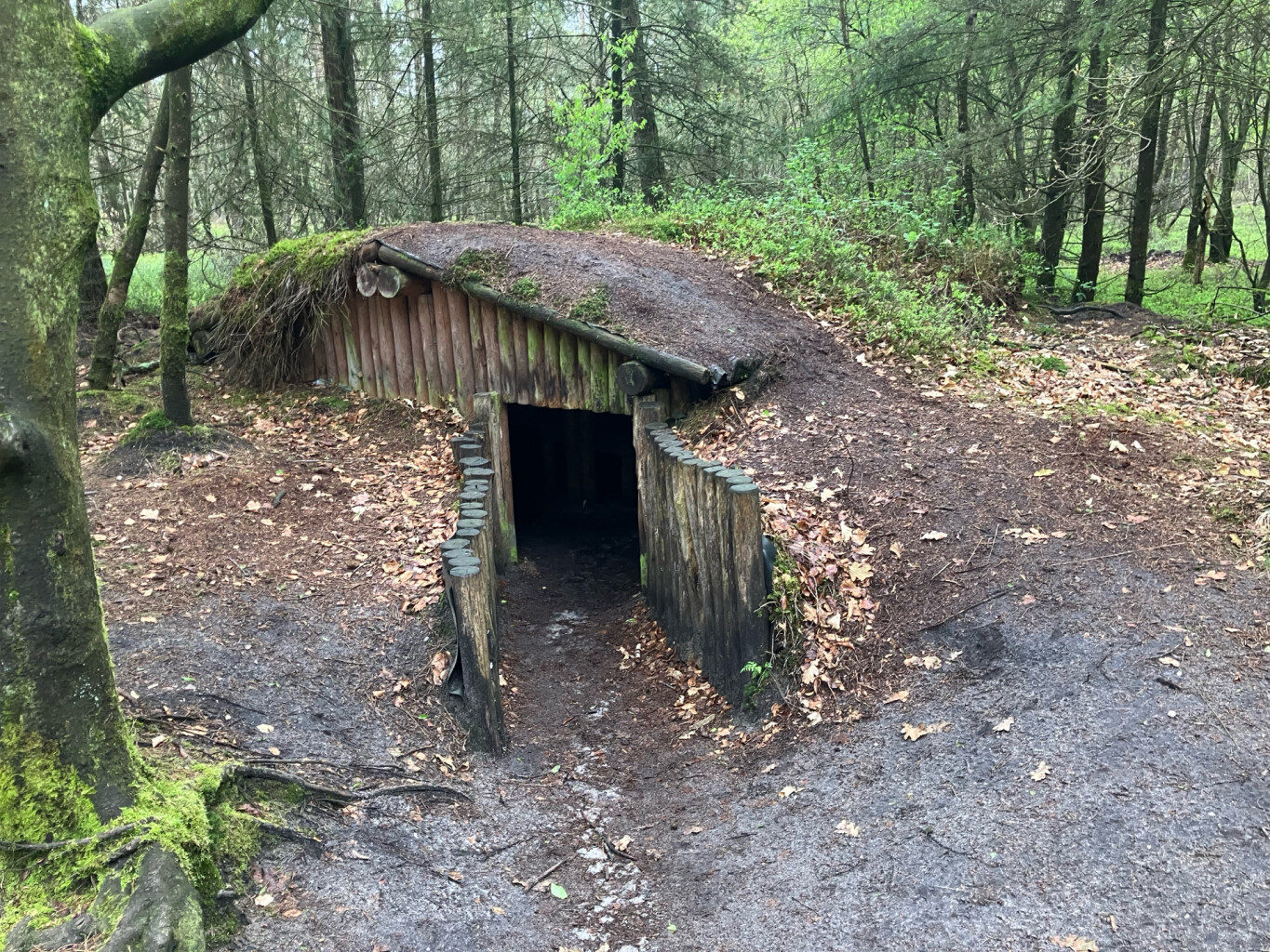 Station Nunspeet - Verscholen Dorp · Westerborkpad etappe 14