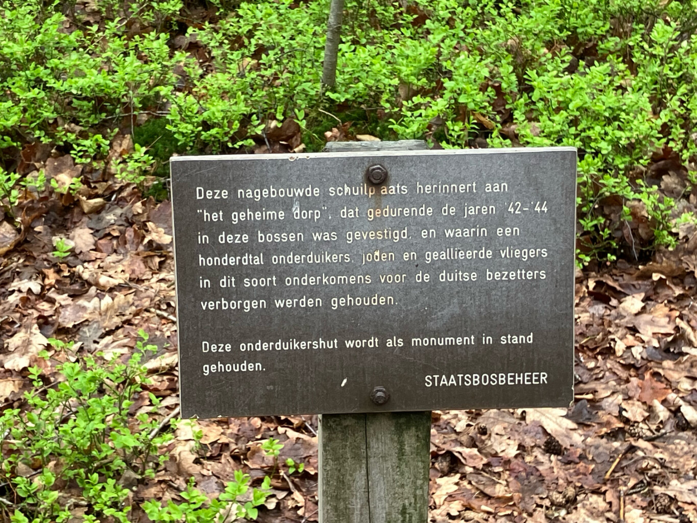 Station Nunspeet - Verscholen Dorp · Westerborkpad etappe 14