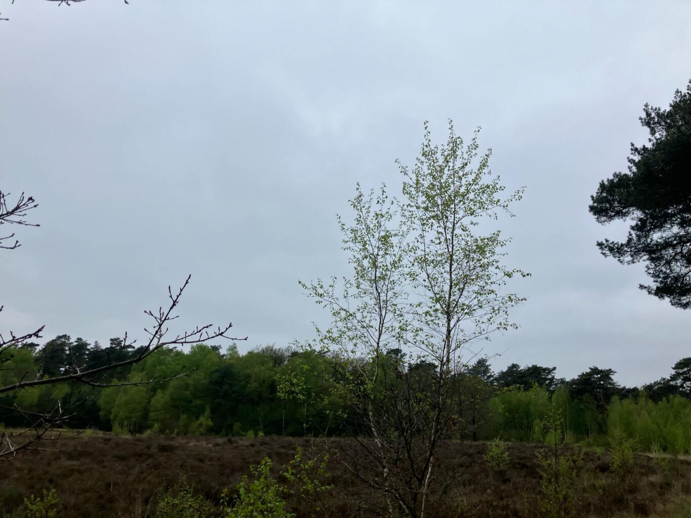 Station Nunspeet - Verscholen Dorp · Westerborkpad etappe 14