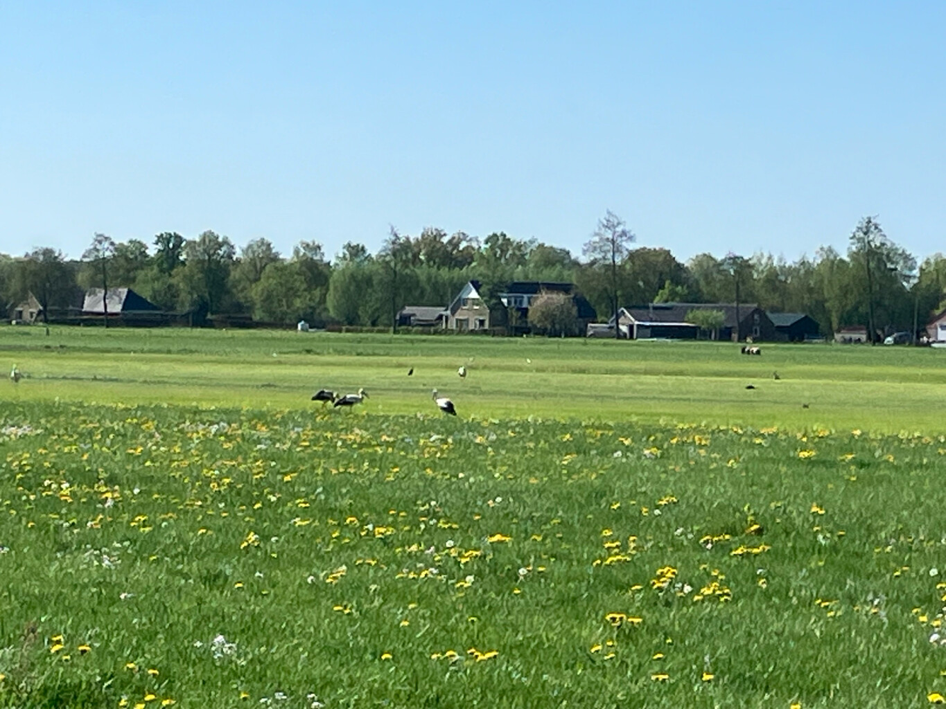 Station 't Harde - Elburg · Westerborkpad etappe 16