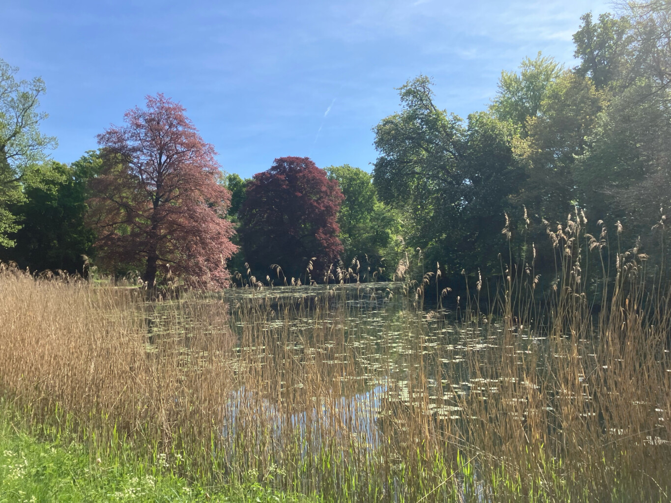 Hattem - Station Zwolle · Westerborkpad etappe 19