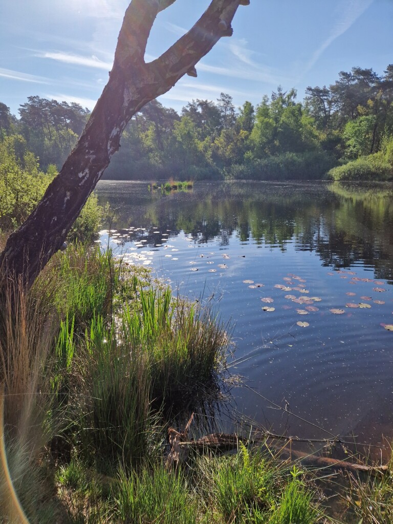 Wandelroute Aderven in Oisterwijk