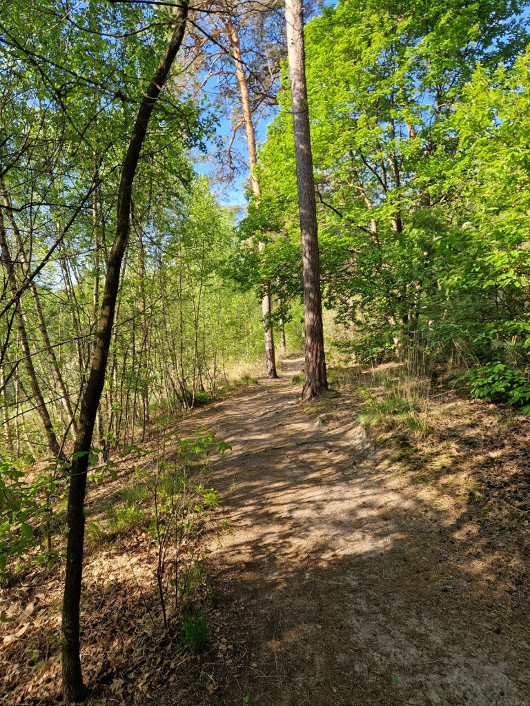 Wandelroute Aderven in Oisterwijk