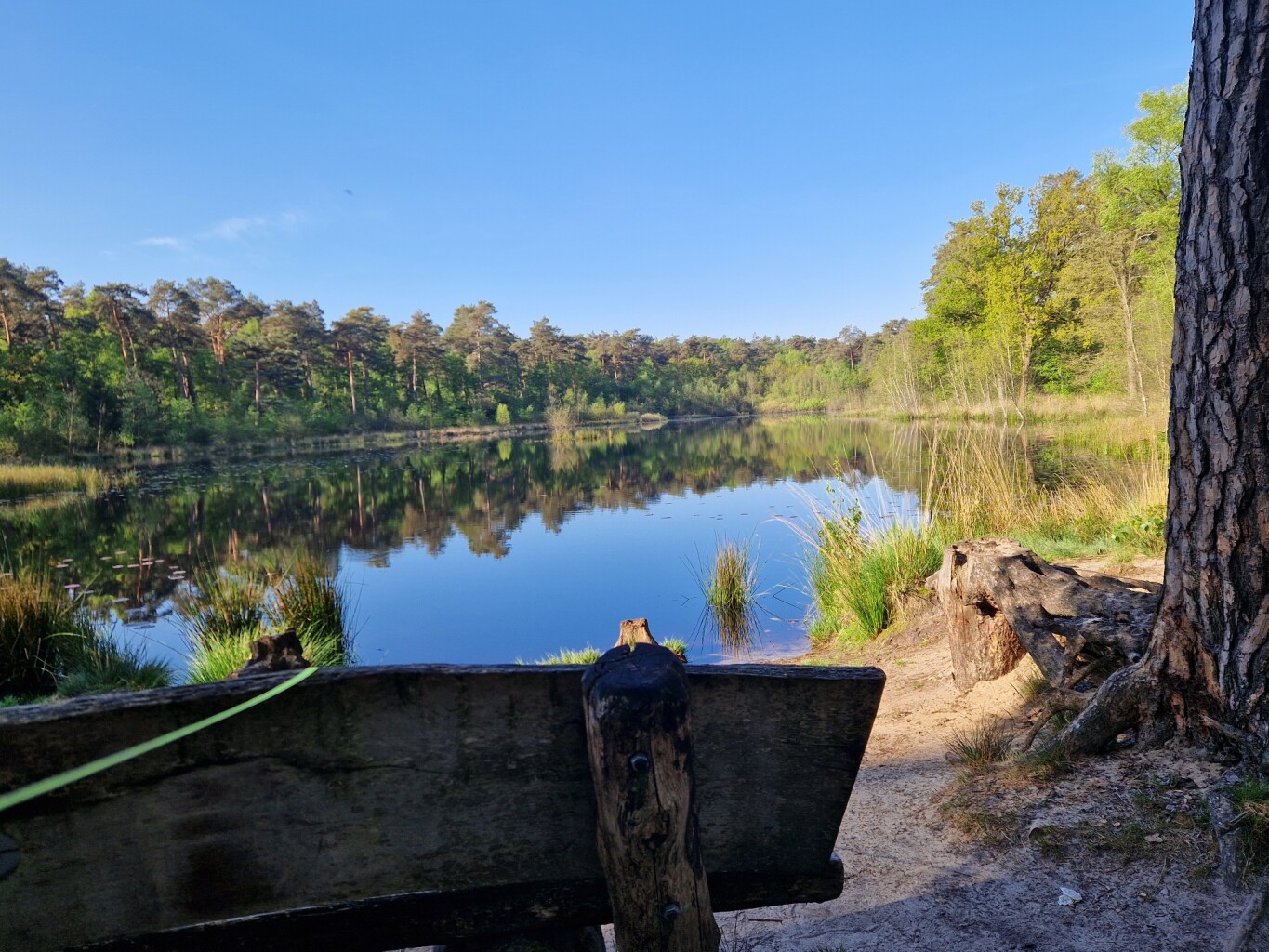 Wandelroute Aderven in Oisterwijk