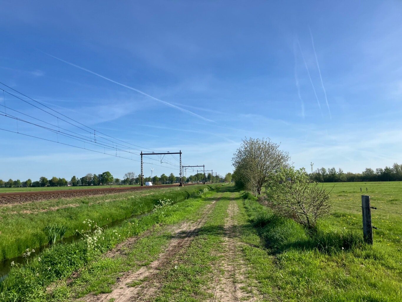 Lichtmis - Staphorst · Westerborkpad etappe 21