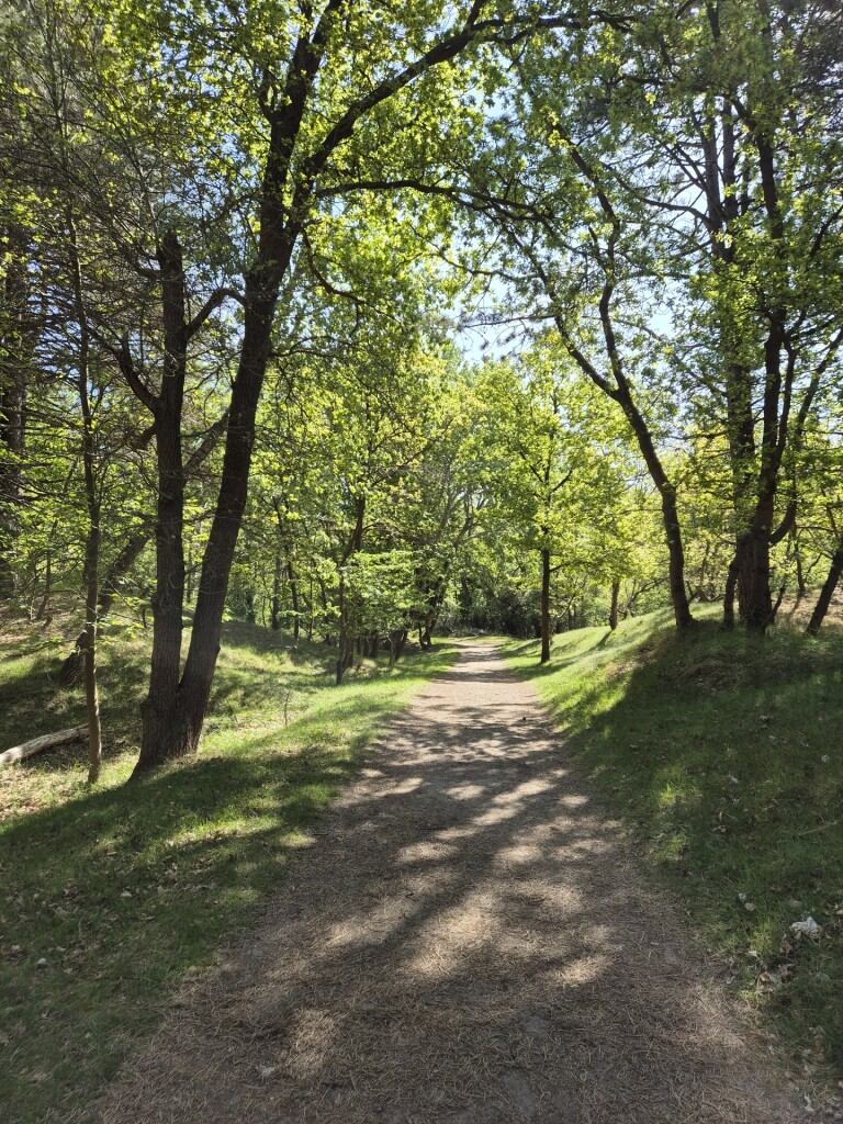 Witte paaltjesroute Zandvoortselaan