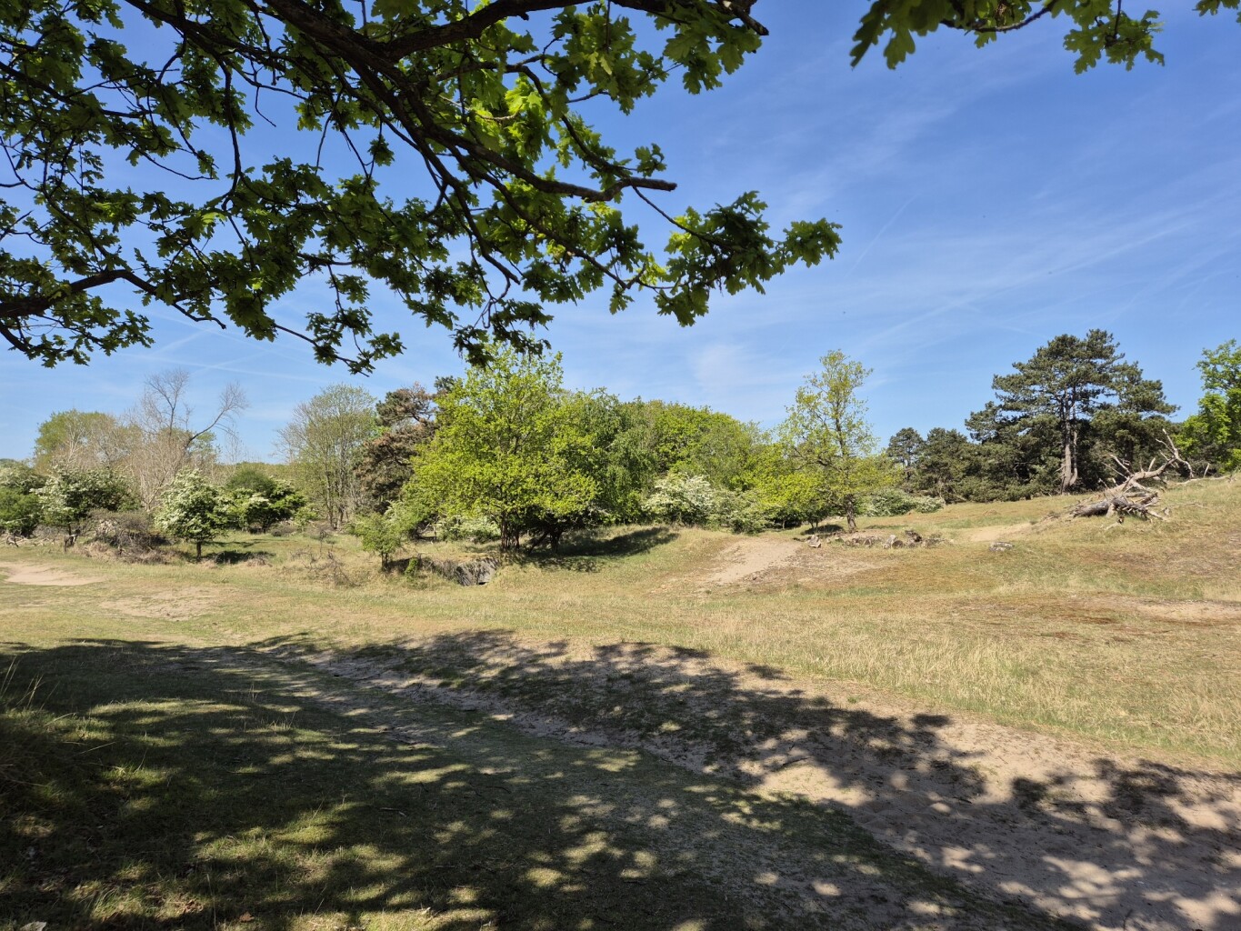 Witte paaltjesroute Zandvoortselaan