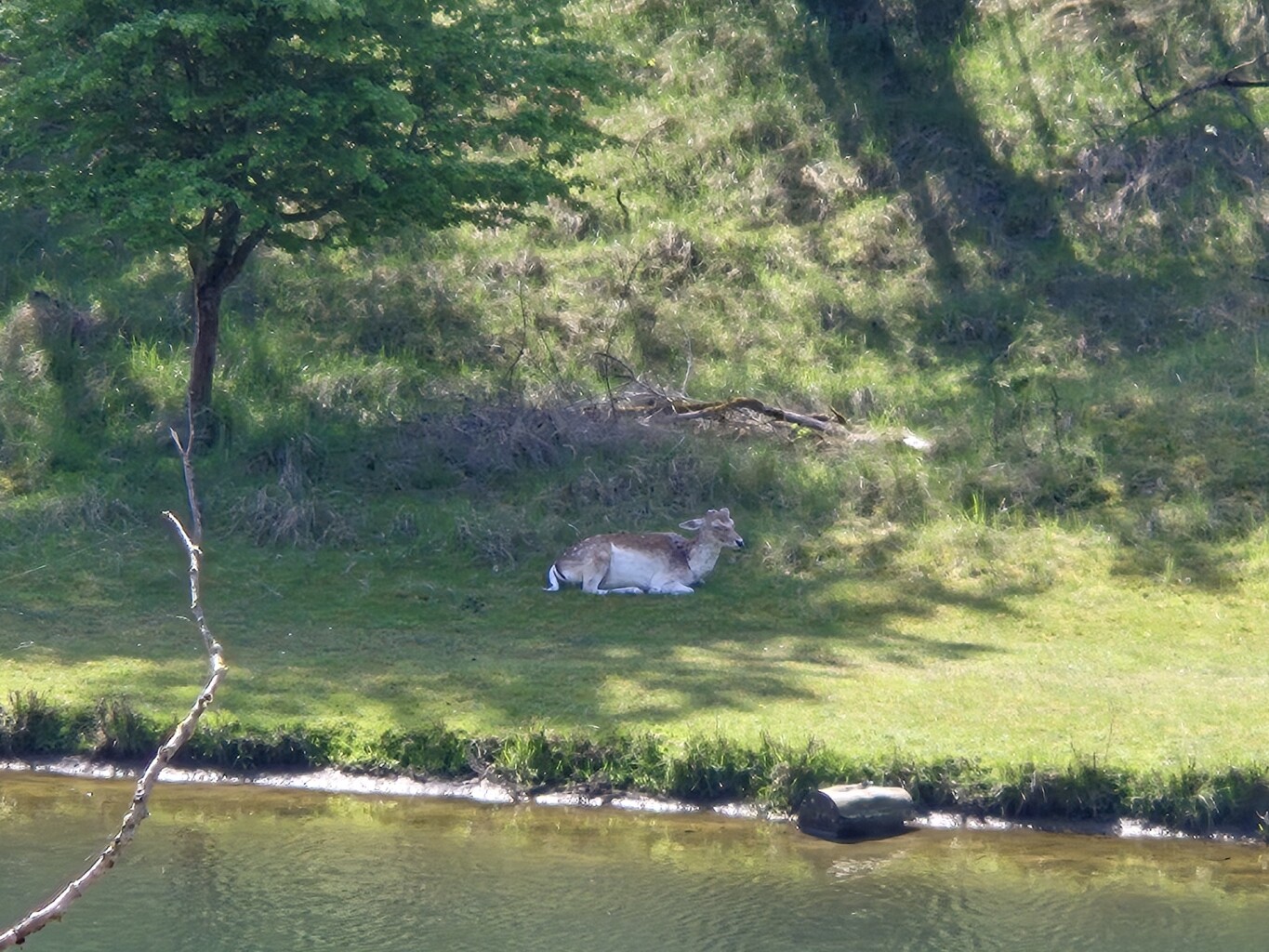 Witte paaltjesroute Zandvoortselaan