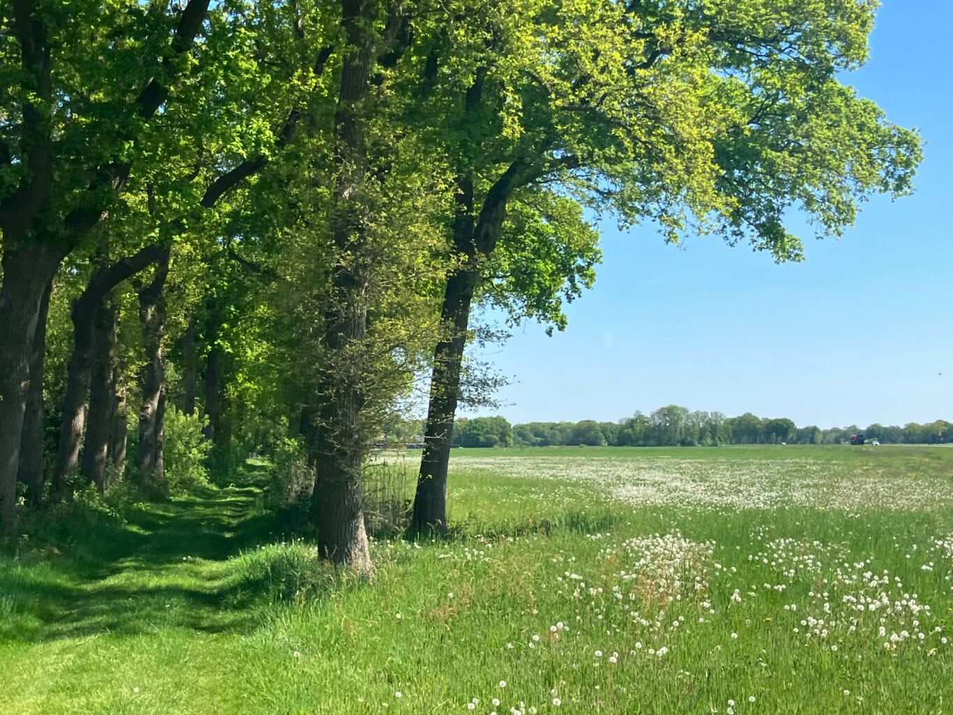 Station Meppel - Koekange · Westerborkpad etappe 23