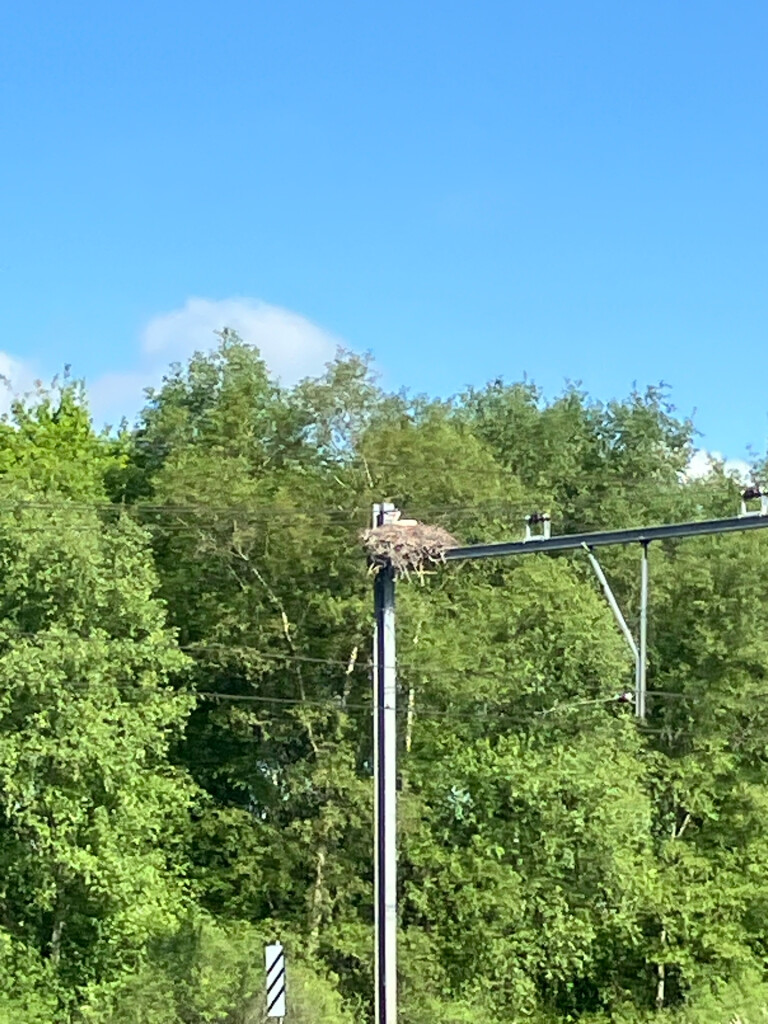 Station Hoogeveen - Kremboong · Westerborkpad etappe 25