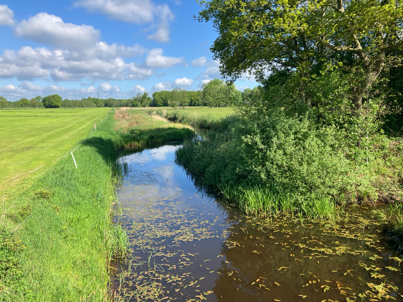 Station Hoogeveen - Kremboong · Westerborkpad etappe 25