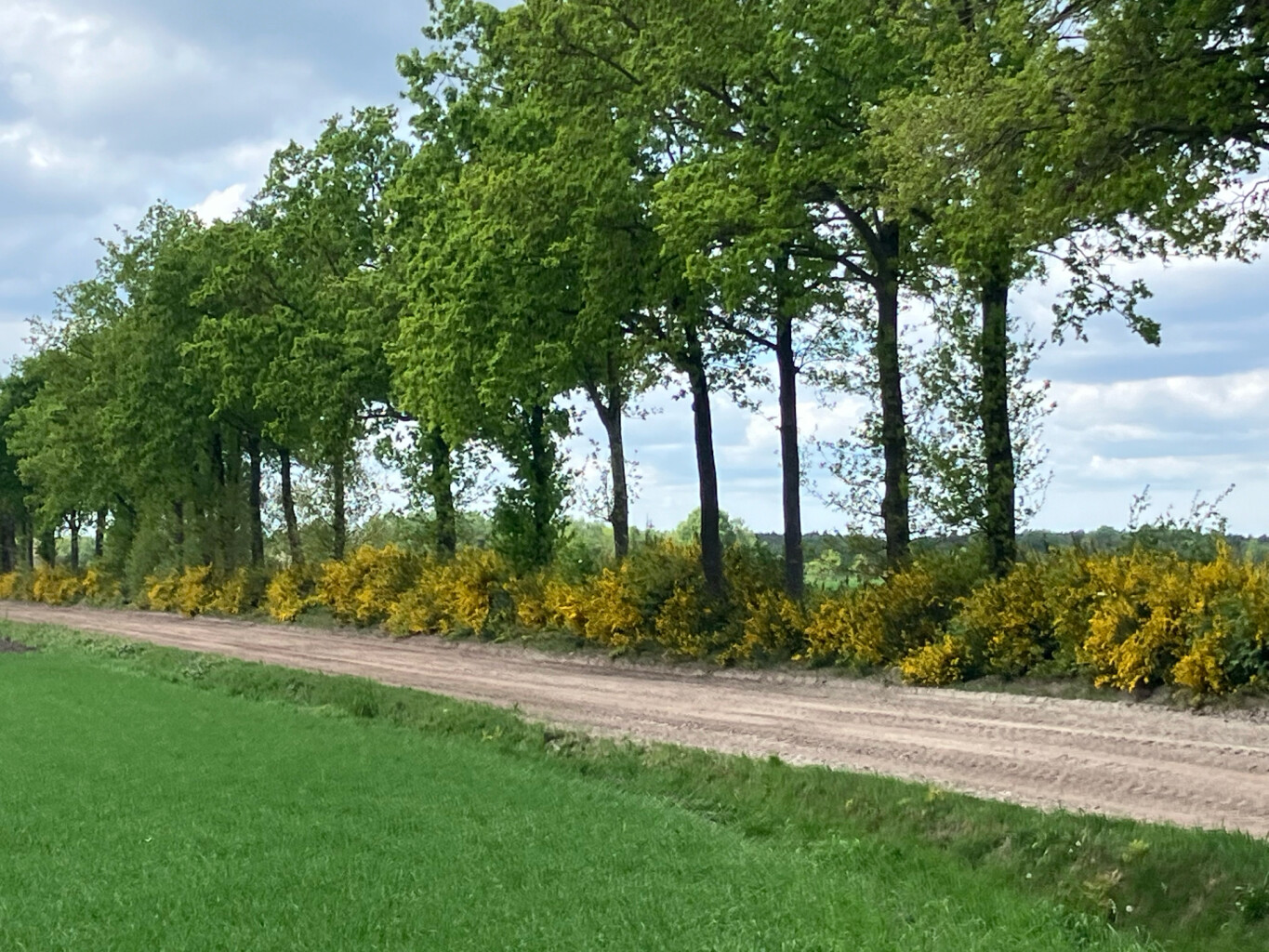 Wijster - Station Beilen · Westerborkpad etappe 27