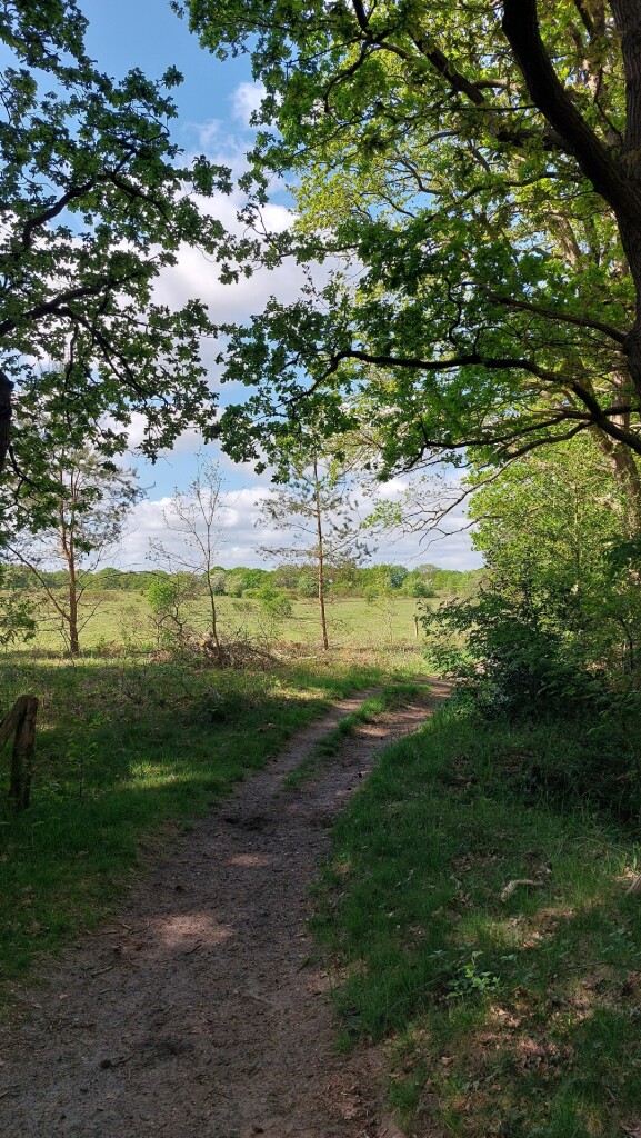 Glimmen - Zuidlaren · Roots Natuurpad etappe 4