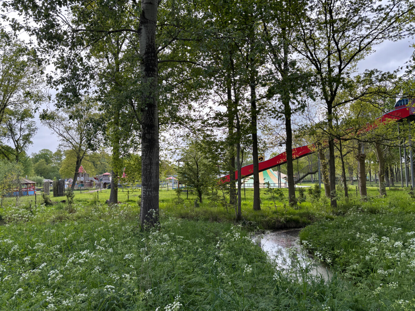 Peizermade - Glimmen · Drenthepad etappe 9