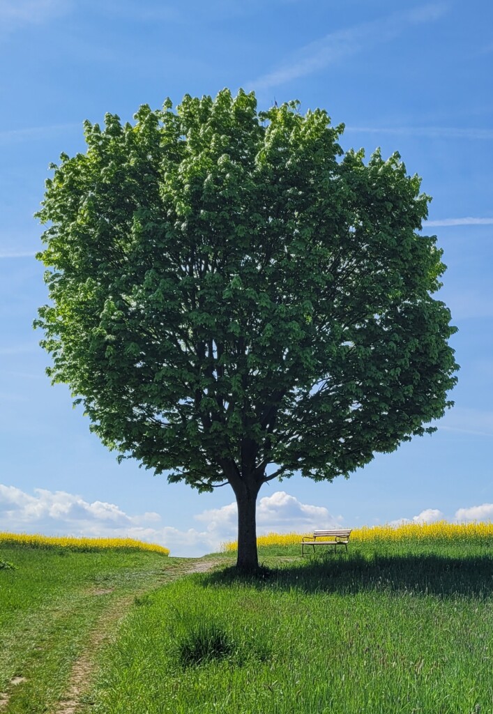 Pirna-Liebethal - Stadt Wehlen · Malerweg etappe 1