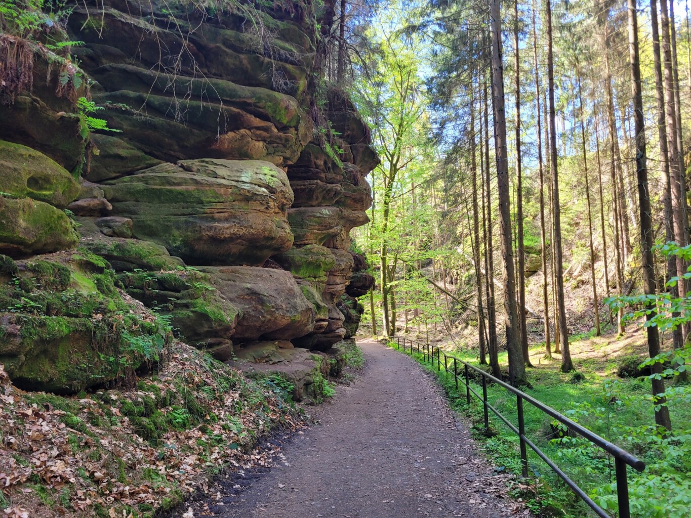 Pirna-Liebethal - Stadt Wehlen · Malerweg etappe 1