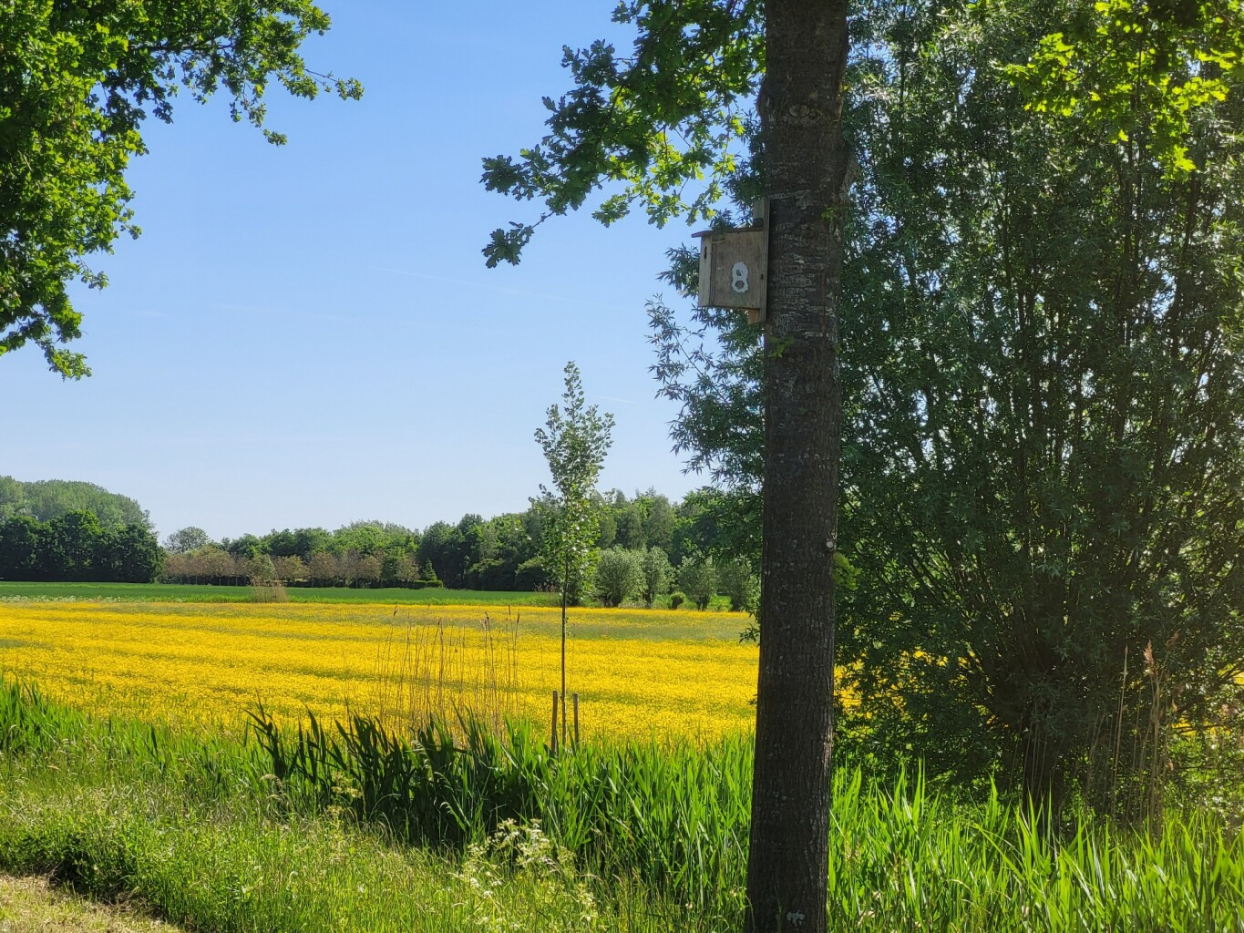 Kuilenburgerpad Culemborg