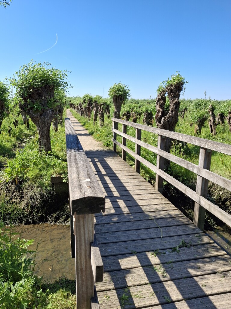 Langs de oevers van de Oude Maas