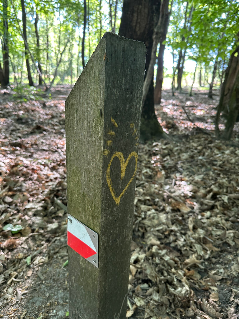 Hoenderloo - Kootwijk · Marskramerpad etappe 10