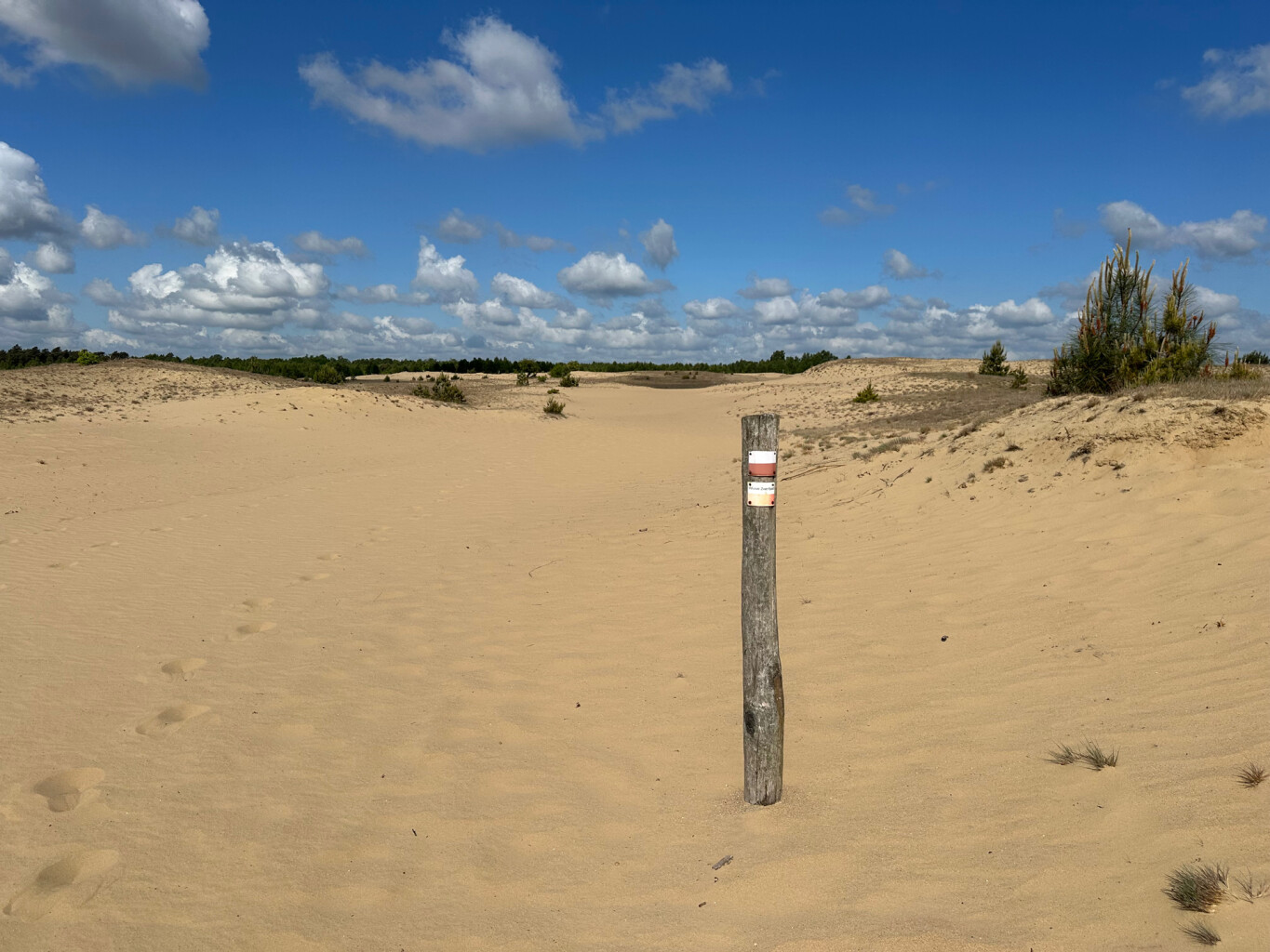 Hoenderloo - Kootwijk · Marskramerpad etappe 10