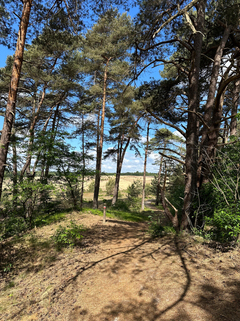 Hoenderloo - Kootwijk · Marskramerpad etappe 10