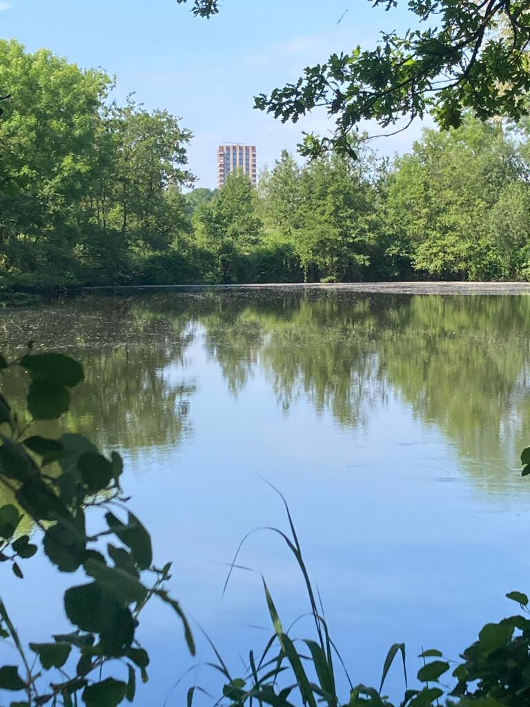 Van Gogh NP wandelroute Tilburg