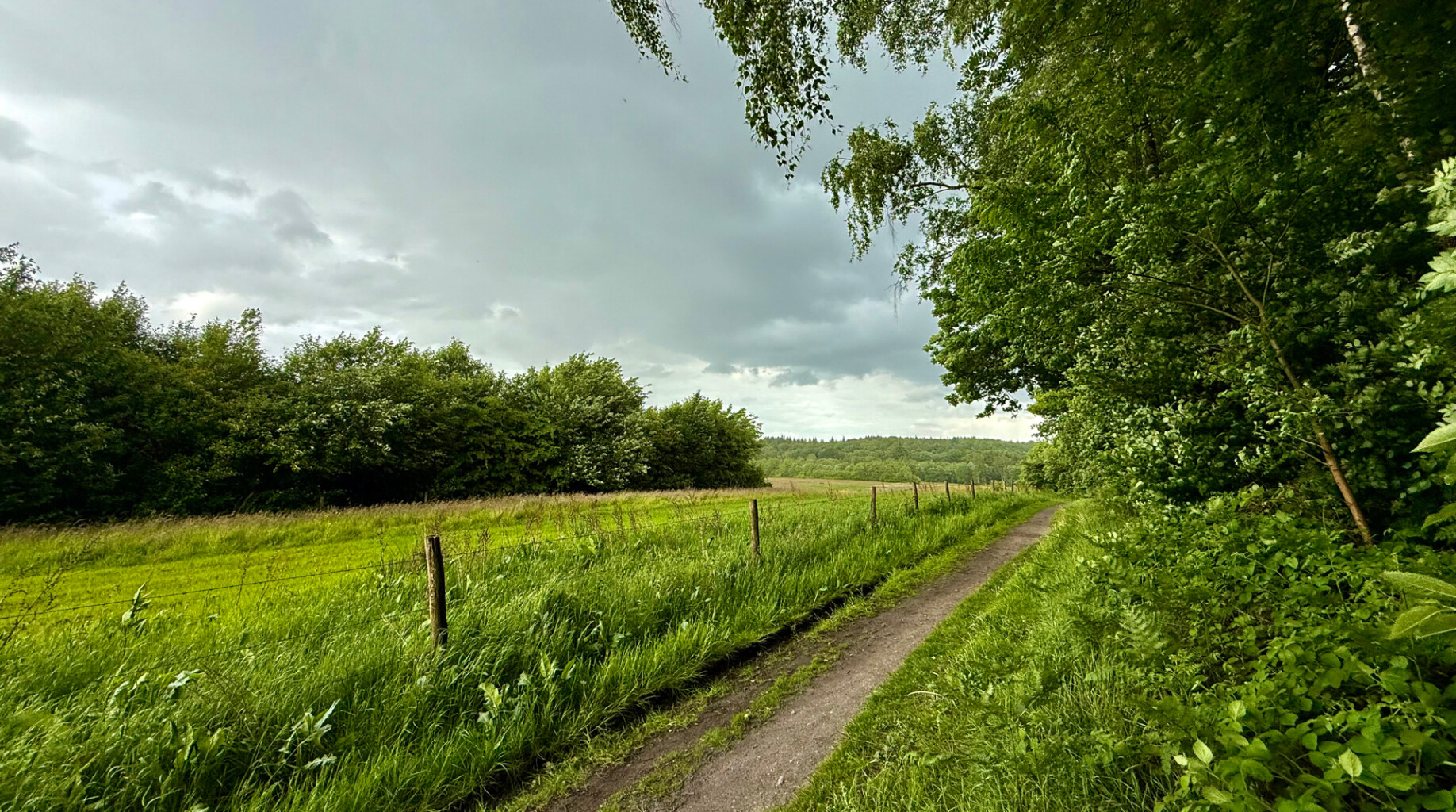 Plasmolen - Milsbeek · Maas-Niederrheinpad etappe 6