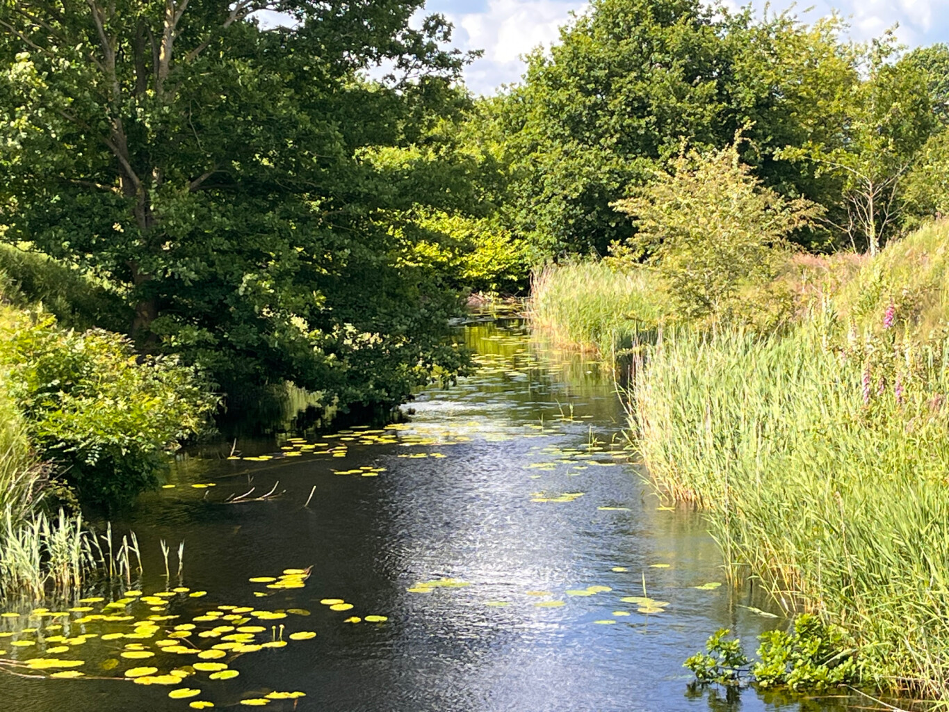 Soldatendyck Bourtange