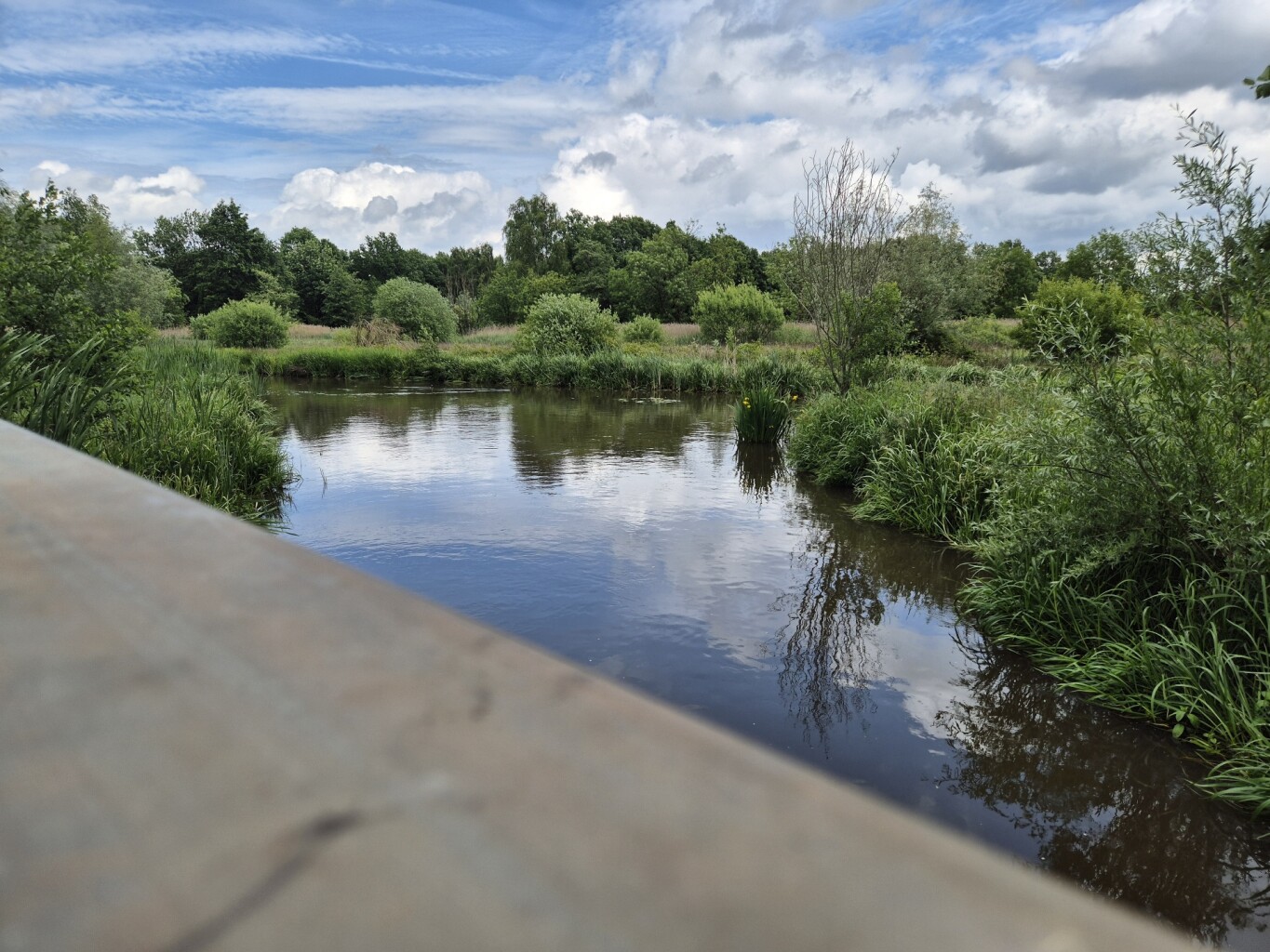 Dommelen - Eindhoven · Dommelpad etappe 3