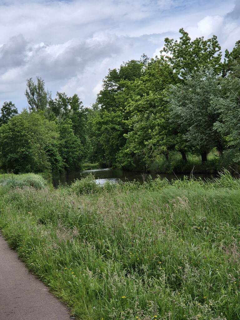 Dommelen - Eindhoven · Dommelpad etappe 3