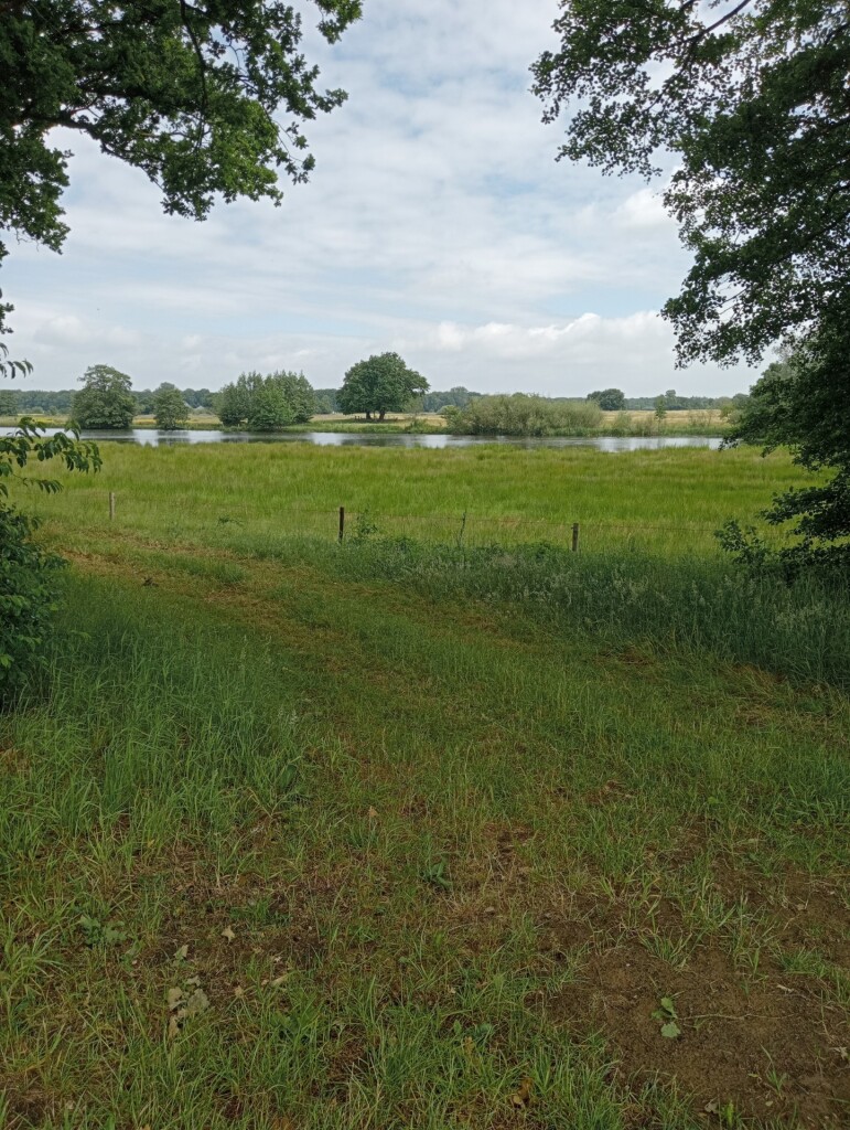 Dalfsen - Ommen · Vechtdalpad etappe 2