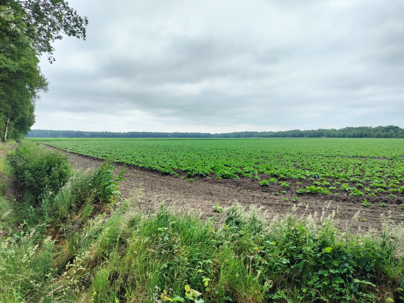 Zwollings · Klaverblad Sleen etappe 1