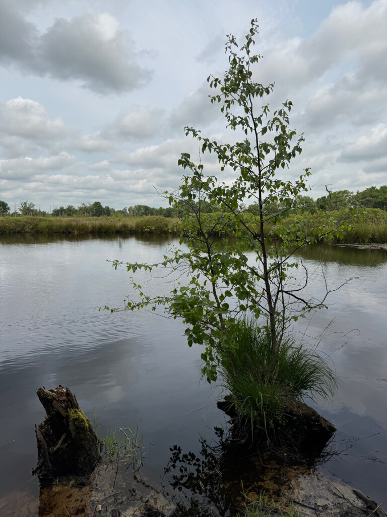 Wandelroute Appelbergen