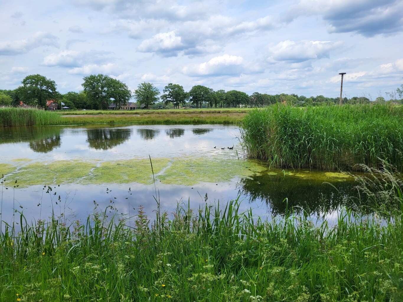 lochemse Camino etappe 1 · De Lochemse Camino etappe 1